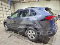 2019 Toyota RAV4 photo