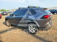 2019 Toyota RAV4 фото