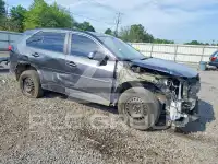 2019 Toyota RAV4 photo