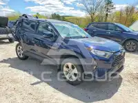 2019 Toyota RAV4 photo