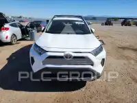 2019 Toyota RAV4 фото