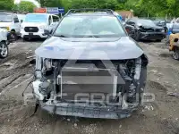 2019 Toyota RAV4 фото