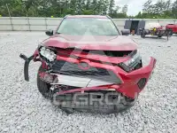 2019 Toyota RAV4 photo