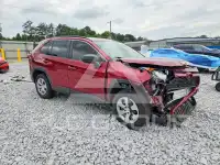 2019 Toyota RAV4 photo