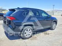 2019 Toyota RAV4 photo