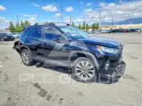 2019 Toyota RAV4 фото