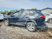 2019 Toyota RAV4 photo