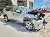 2019 Toyota RAV4 photo