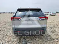 2019 Toyota RAV4 фото