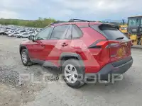 2019 Toyota RAV4 фото