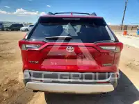 2019 Toyota RAV4 фото