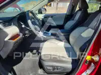 2019 Toyota RAV4 фото