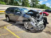 2019 Toyota RAV4 фото