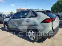 2019 Toyota RAV4 photo