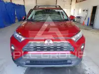 2019 Toyota RAV4 фото