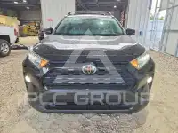 2019 Toyota RAV4 фото