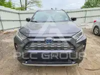 2019 Toyota RAV4 фото
