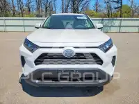 2019 Toyota RAV4 фото