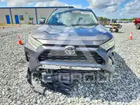 2019 Toyota RAV4 фото