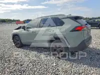 2019 Toyota RAV4 photo