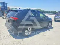 2019 Toyota RAV4 photo