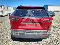 2019 Toyota RAV4 photo