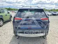 2019 Toyota RAV4 фото