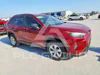 2019 Toyota RAV4 photo