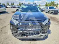 2019 Toyota RAV4 фото