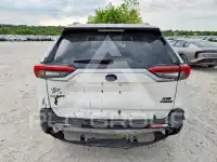 2019 Toyota RAV4 photo
