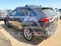 2019 Toyota RAV4 фото