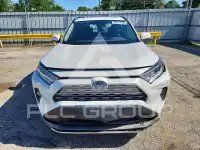 2019 Toyota RAV4 фото