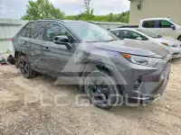 2019 Toyota RAV4 фото