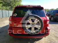 2019 Toyota RAV4 фото