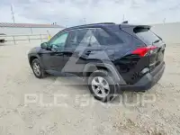2019 Toyota RAV4 фото