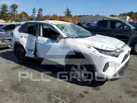 2019 Toyota RAV4 photo