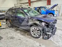2019 Toyota RAV4 photo