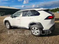 2019 Toyota RAV4 photo