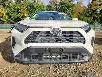 2019 Toyota RAV4 photo
