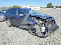 2019 Toyota RAV4 photo