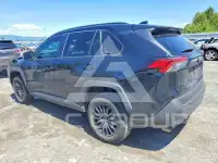 2019 Toyota RAV4 photo