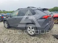 2019 Toyota RAV4 photo