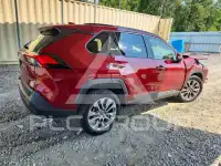 2019 Toyota RAV4 фото