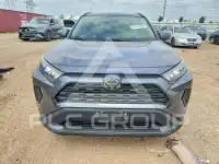 2019 Toyota RAV4 photo