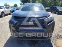 2019 Toyota RAV4 photo