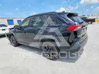 2019 Toyota RAV4 фото