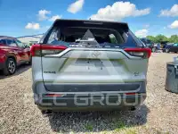 2019 Toyota RAV4 фото