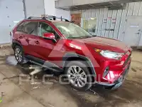 2019 Toyota RAV4 photo