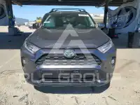 2019 Toyota RAV4 фото