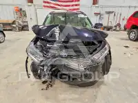 2019 Toyota RAV4 фото